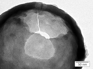 TEM close up picture of the porous structure of a silica nanoparticle with individual pores measuring 3 nm in diameter.