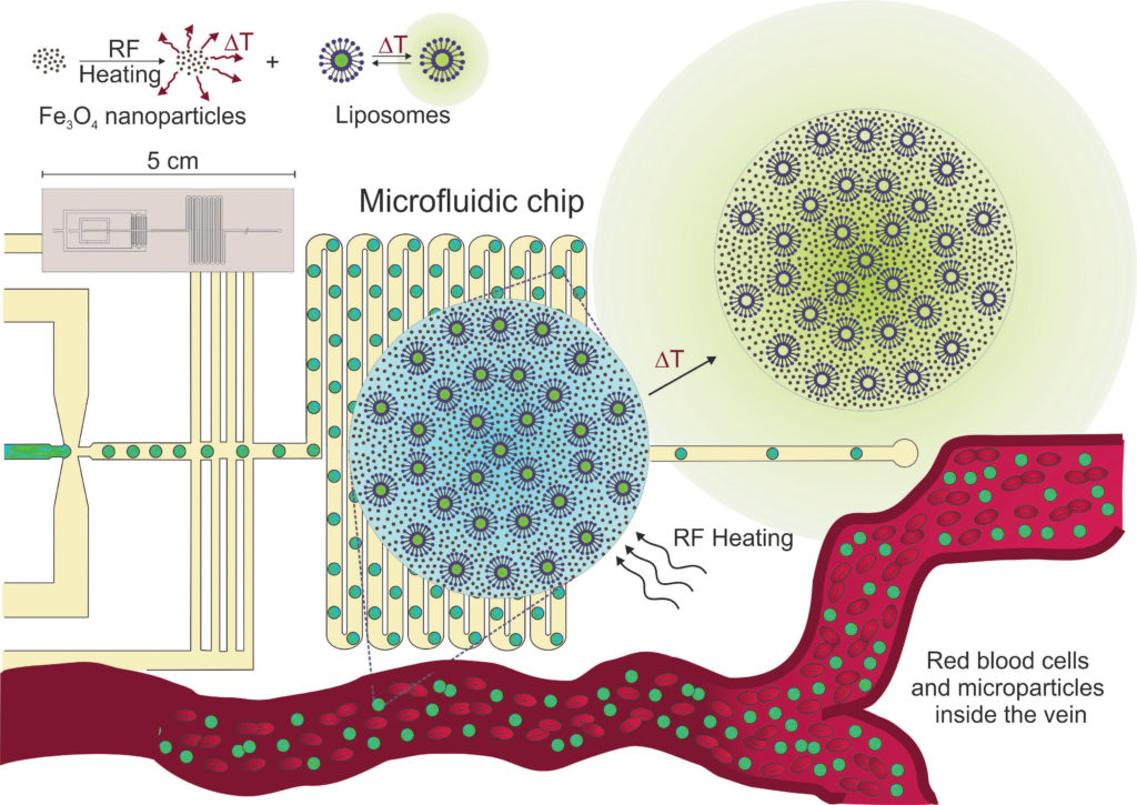 Scheme of production of composite microparticles and further realease of their active cargo